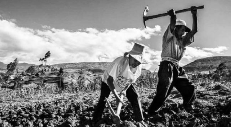 Campesinos labrando la tierra en una zona rural de República Dominicana en 1970.