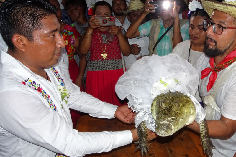 Victor Hugo Sosa, alcalde San Pedro Huamelula, contrajo matrimonio con un caimán