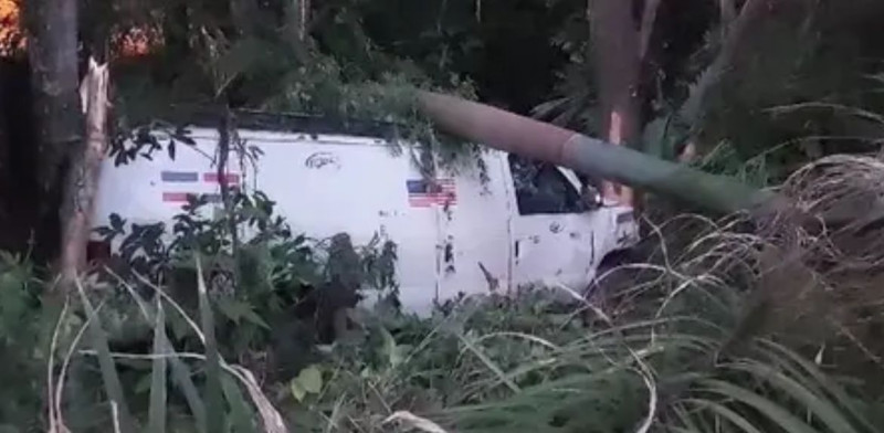 La imagen muestra la furgoneta, de color blanco, entre unos matorrales con una palma encima tras presumiblemente el conductor de este haber perdido el control.