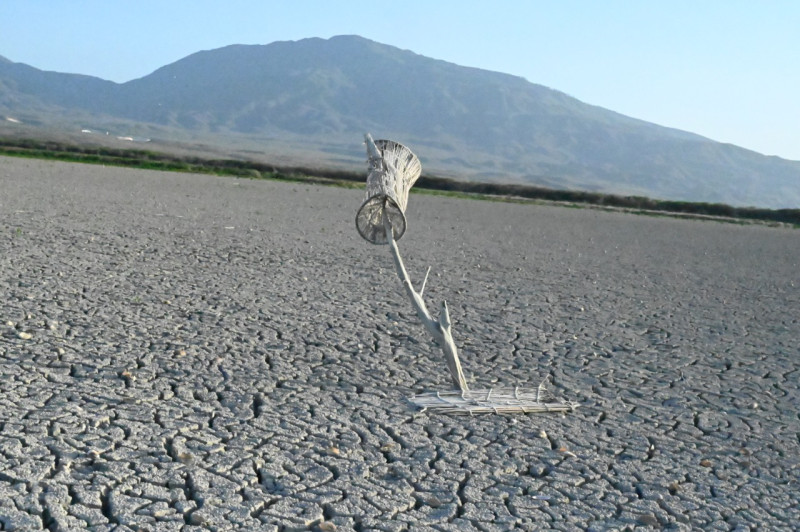 En 1997 hubo una sequía severa que afectó a nivel global, solamente en el área del Caribe.