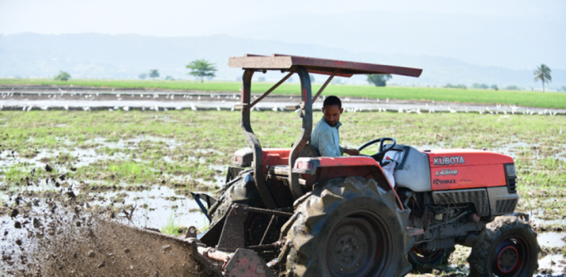 Producción agrícola