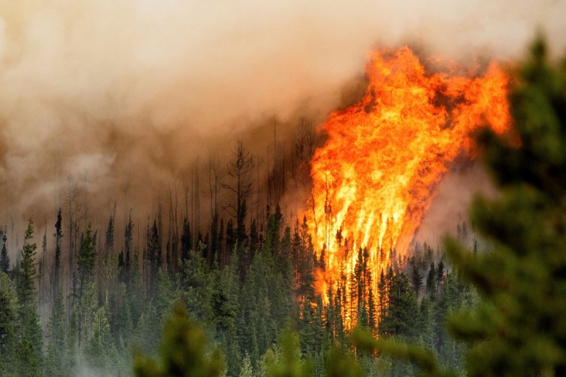 Un incendio forestal al norte de Fort St. John, Columbia Británica, el 2 de julio de 2023.