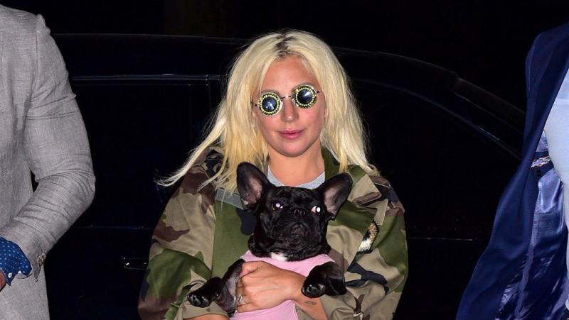 Lady Gaga con una de sus mascotas en Nueva York, en junio de 2015.