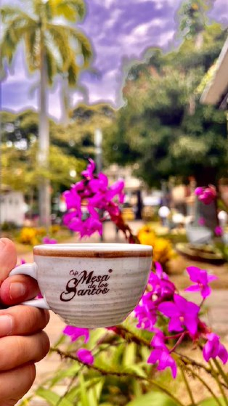 Café Mesa de los Santos