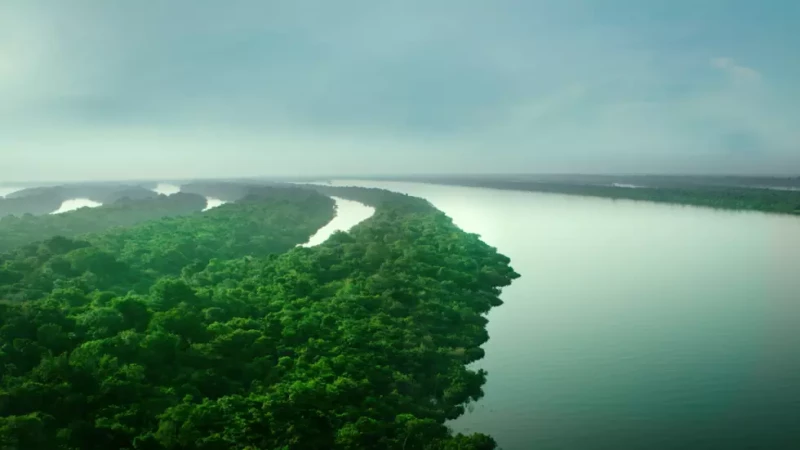 El río Amazonas nace en Perú, atraviesa Colombia y Brasil y desemboca en el océano Atlántico.