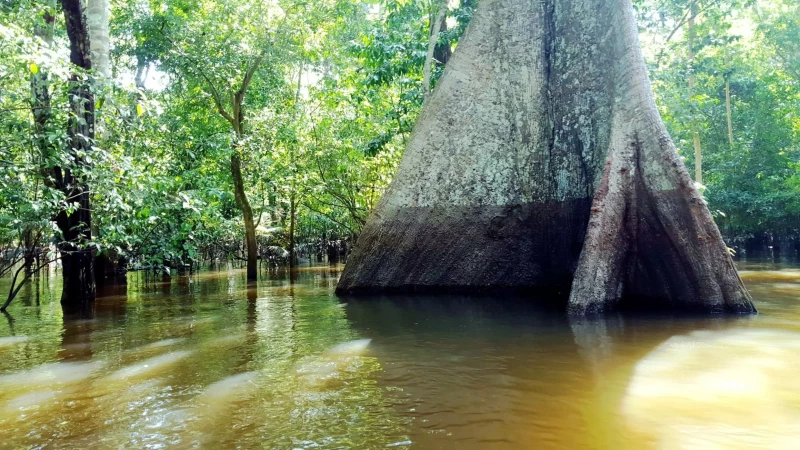 Hasta la fecha, menos de 10 personas han recorrido todo el río Amazonas en una sola expedición, afirma Sanada.