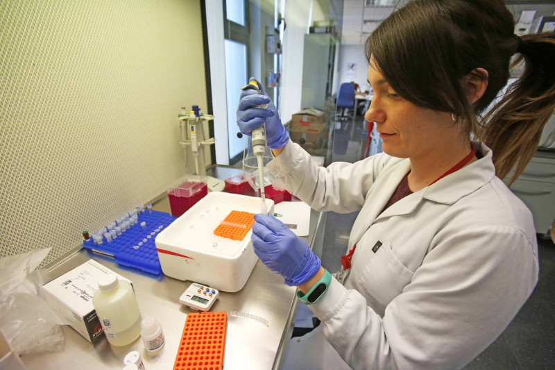 Bioarray crea un test que analiza la microbiota presente en el endometrio y en la vagina.