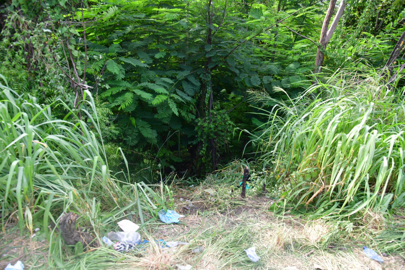 Zona donde fue hallado el cadáver de la menor próximo a la autopista 6 de noviembre