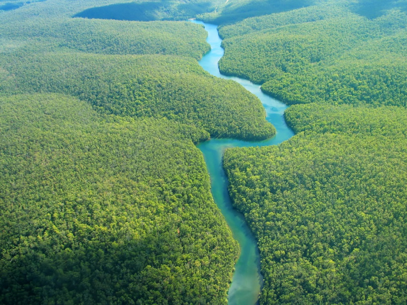 Los países amazónicos plasmaron su parecer en un largo listado de intenciones con pocas acciones concretas para frenar la deforestación del bioma.