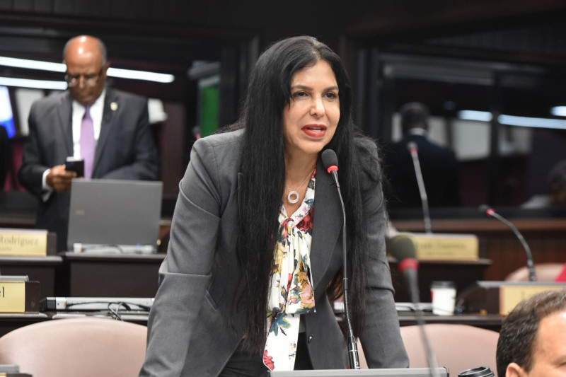 La diptuada Rosa Amalia Pilarte en una de sus intervenciones en la Cámara de Diputados