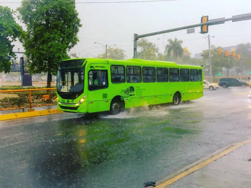 Autobús de la Oficina Metropolitana de Autobuses.