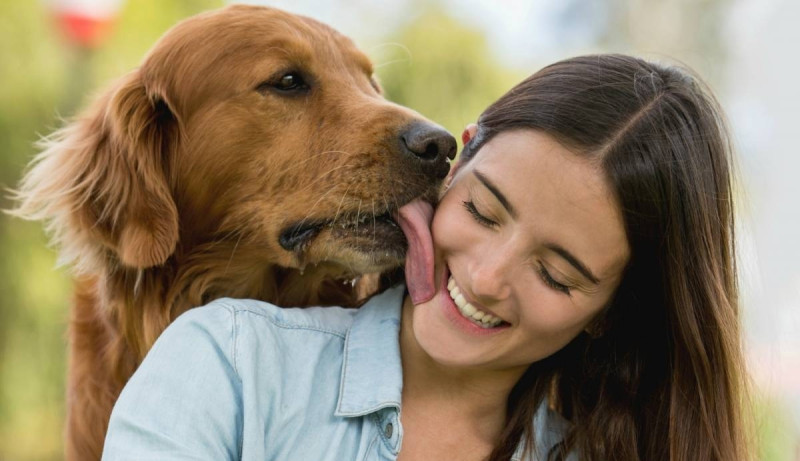 Los perros muestran una mayor sensibilidad cerebral al discurso dirigido a ellos que al discurso dirigido por adultos, especialmente si lo hablan mujeres