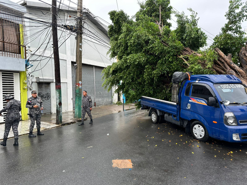 Un árbol cae encima de un vehículo en una calle de Santo Domingo