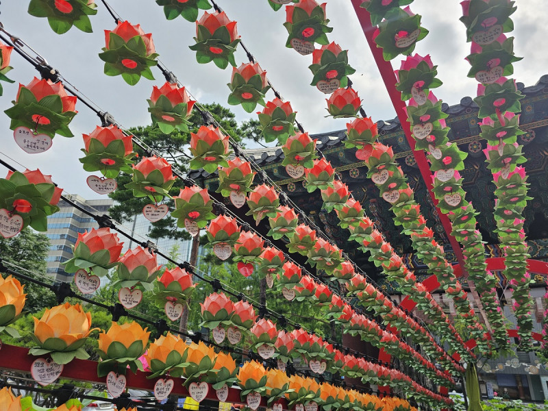 Próximo a la entrada principal del templo Jogyesa, cuelgan hileras de faroles con forma de flor de loto. De los faroles penden corazones de papel con nombres de parejas.