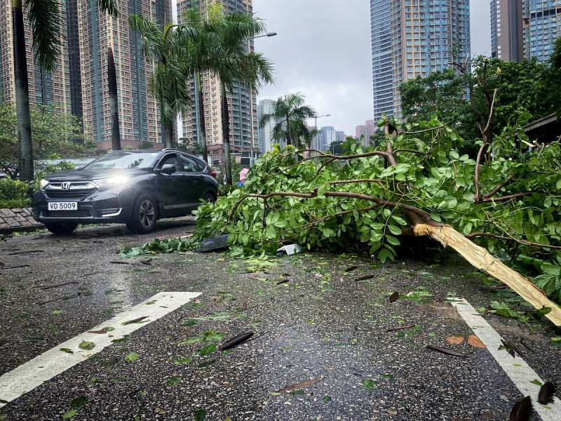 Un automóvil pasa junto a las ramas de los árboles estrelladas por los fuertes vientos provocados por el súper tifón Saola en Tseung Kwan O en Hong Kong el 2 de septiembre de 2023.
