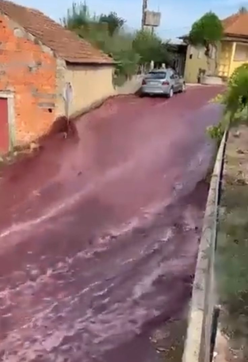 Calles de Portugal se tiñeron de rojo por explosión de unas reservas en una destilería.