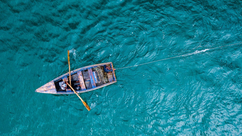 que en el país hay aproximadamente unos 22,000 pescadores entre costeros y de aguas interiores. Para el 2019, de acuerdo con el Primer Censo Nacional Pesquero (ONE), 14,929 personas se dedicaban a la pesca marina en las costas dominicanas.