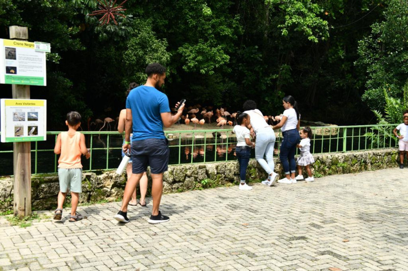 Visitantes que observan los flamencos del Parque Zoológico Nacional