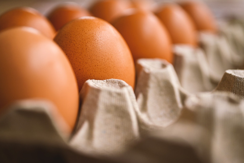 Fotografía ilustrativa de un cartón de huevos.