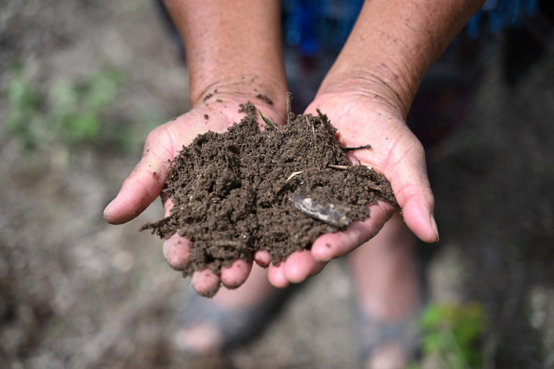 Raymunda Itzul, de 79 años, muestra la tierra en su pequeña granja en la comunidad Xecanap en Sacapulas, Guatemala, el 6 de septiembre de 2023. "Envidio a la gente que tiene agua", dice entre lágrimas la indígena María Baten en un pueblo del norte de Guatemala, donde La sequía amenaza con una crisis alimentaria sin precedentes.