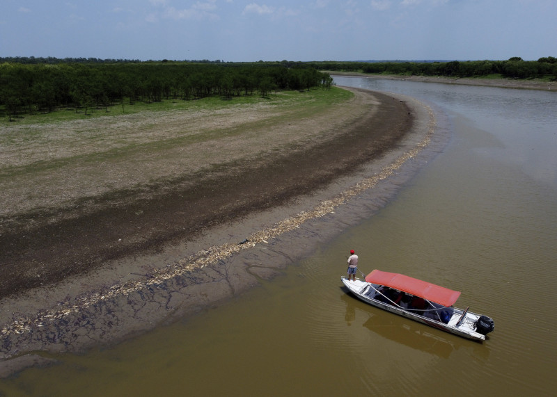 Un pescador de pie en su bote mientras navega cerca de miles de peces muertos en la orilla del lago Piraña debido a una sequía extrema en el estado de Amazonas, el miércoles 27 de septiembre de 2023, en Manacapuru, Brasil.
