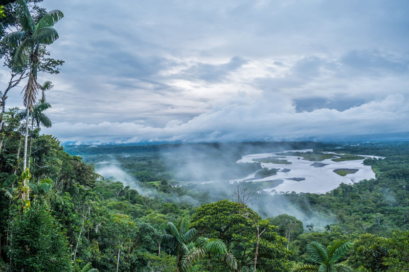 El programa busca generar un impacto positivo para el desarrollo sostenible y la prosperidad de las poblaciones indígenas y locales de la región amazónica.