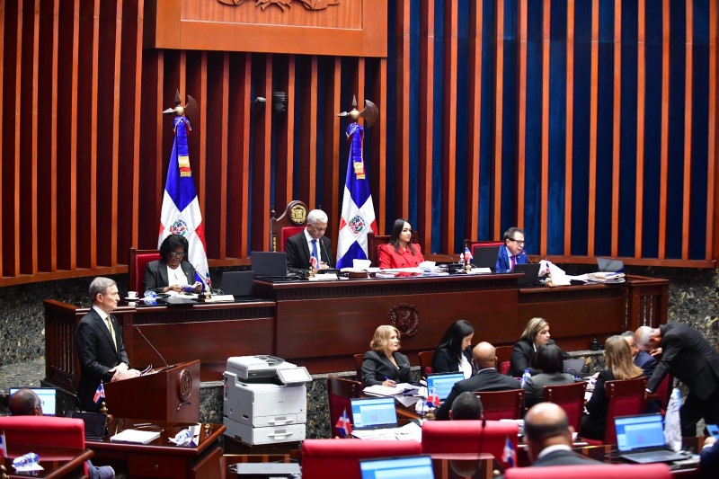 Una vista de la sesión celebrada ayer en el Senado donde intervino el canciller Roberto Álvarez.