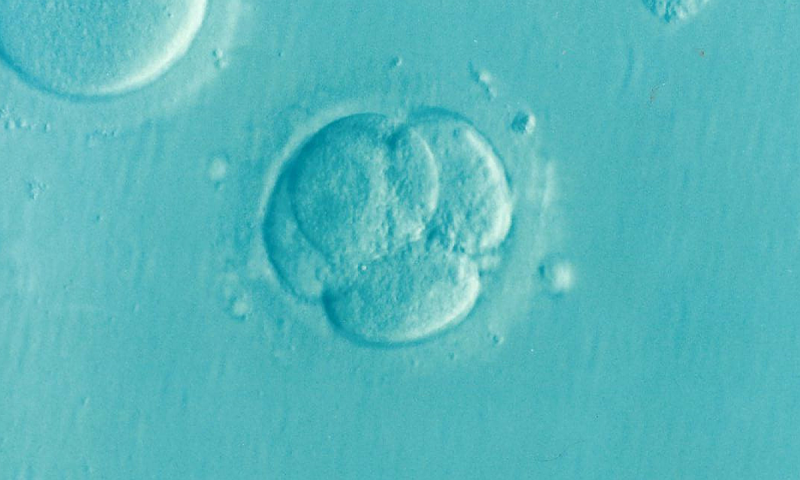 Al estudiar  el ADN liberado al medio de cultivo se evita extraer una célula del embrión para su estudio, por lo tanto es menos agresión a los embriones.