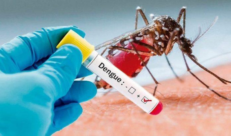 El dengue ha causado la muerte este año de al menos 9 personas.
