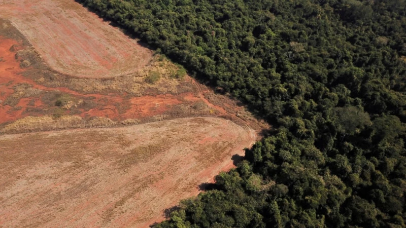Como en la Amazonía (foto) "se ha deforestado masivamente y el sacar los bosques, en cualquier país del planeta, aumenta el riesgo de mayor de temperatura." dice experta ambientalista para explicar los fuertes picos de calor en Sudamérica durante el reciente invierno.