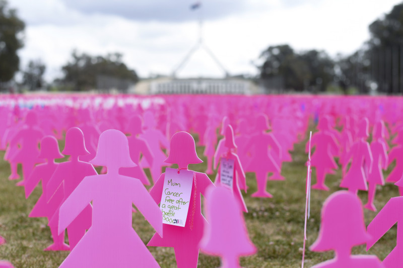 Vista general de algunas de las 6.000 siluetas de mujeres rosas que sirven de memorial sobre el cáncer de mama en las afueras de la Casa del Parlamento en Canberra (Australia) con motivo del Día Mundial de la lucha contra el cáncer de mama. EFE/LUKAS COCH/PROHIBIDO SU USO EN AUSTRALIA Y NUEVA ZELANDA[PROHIBIDO SU USO EN AUSTRALIA Y NUEVA ZELANDA]