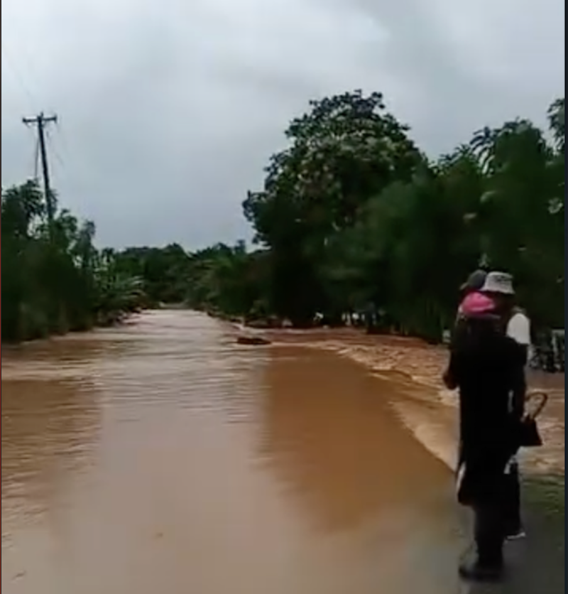 Los desbordamientos de los ríos en la región Nordeste a causa de las lluvias ha dejado un saldo de viviendas inundadas, desplazados y daños en la agricultura.