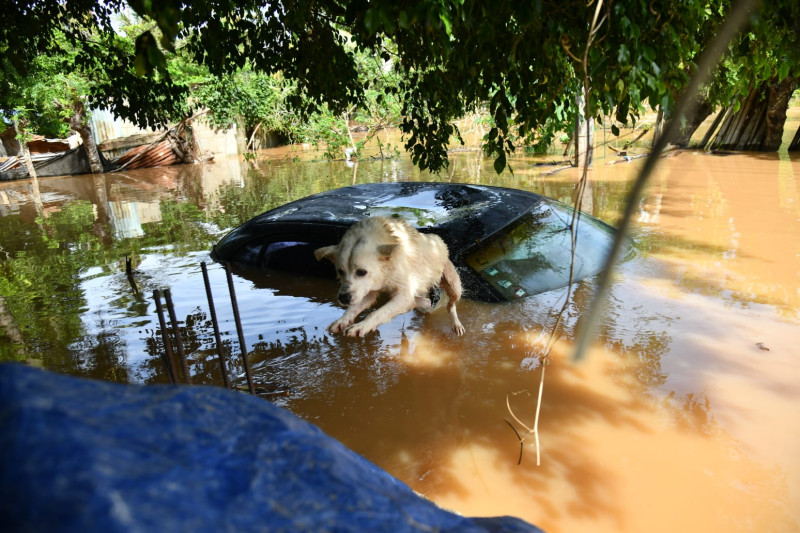 Más de 25 casas ahogadas por subida del río Yuca, en Sabana Perdida