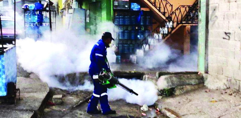 Los moradores piden que continúen las jornadas de fumigación contra el mosquito transmisor.