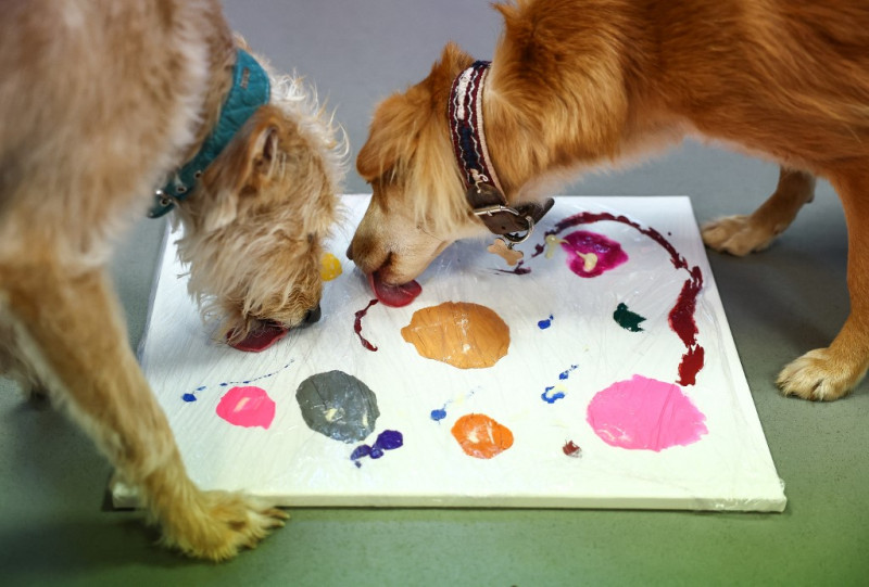 Alba y Rosie, antiguas perras de rescate, participan en un ejercicio para crear un cuadro en el Bristol Animal Rescue Centre de Bristol, al oeste de Inglaterra, el 23 de noviembre de 2023