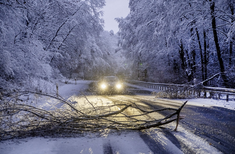 Árboles caídos bloquean una carretera de montaña en un bosque de la región de Taunis cerca de Fráncfort, Alemania, durante nevadas la madrugada de ayer.