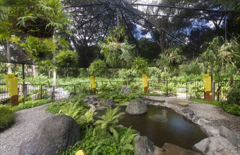 Jardín Botánico Nacional