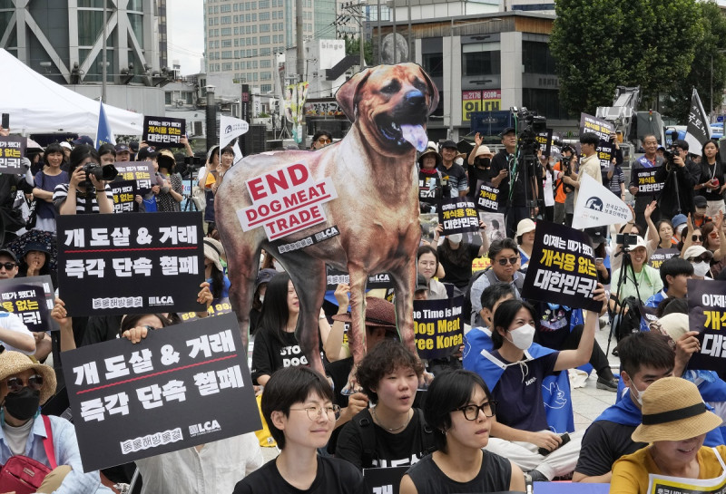 Activistas por los derechos de los animales, durante una concentración contra la práctica de comer carne de perro, en Seúl, el 8 de julio de 2023.