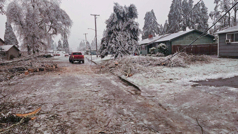 Ramas y árboles caídos se encuentran esparcidos en la carretera el martes 16 de enero de 2024, en Creswell, Oregon. El invierno dirigió su resplandor helado a los EE. UU. esta semana, cubriendo ciudades y estados de este a oeste con nieve y enviando temperaturas al Ártico. espiral.