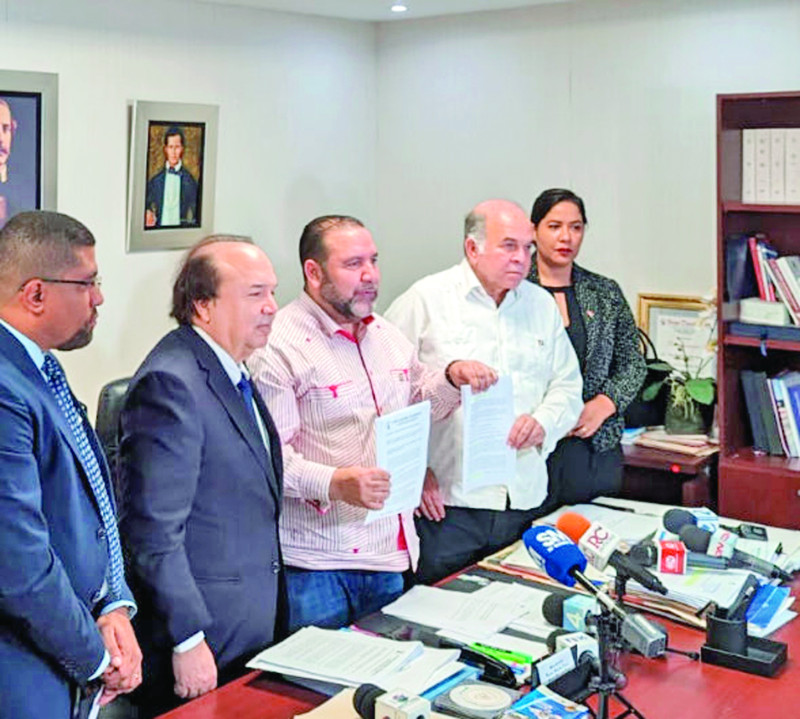 Vinicio y Pelegrín Castillo Semán, dirigentes de la Fuerza Nacional Progresista (FNP) entregaron la propuesta de modificación de la ley que crea la DNI al senador Ramón Rogelio Genao, del PRSC.