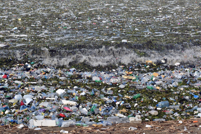 Sargazo, lilas y plásticos en la playa Montesinos