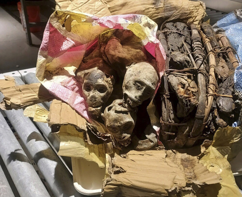 restos momificados de cuatro monos