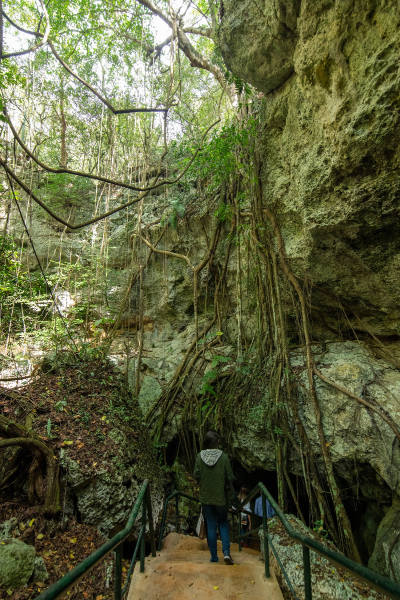 Escalinata que conduce a la entrada de la Cueva de las Maravillas. Cuando se descubrió en 1926 la comunidad Jagual pertenecía a la provincia El Seibo.
