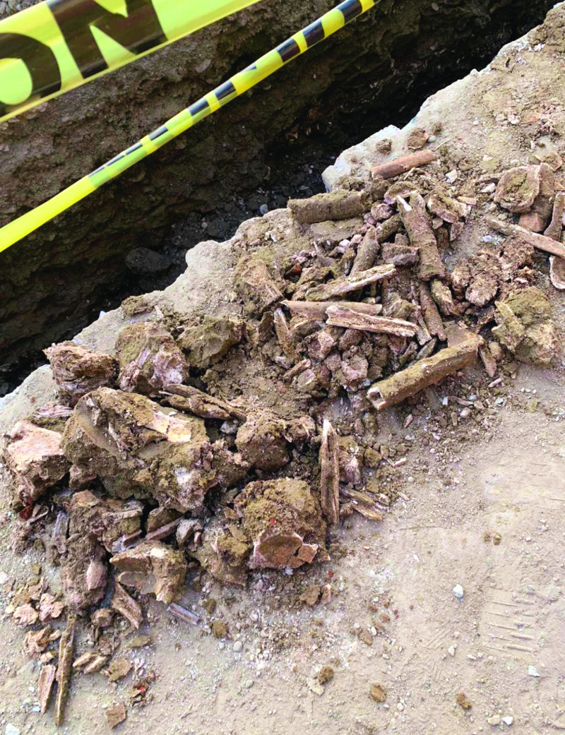 Las osamentas pudieran pertenecer a un antiguo cementerio que se encontraba cerca de la catedral Santiago Apostol.