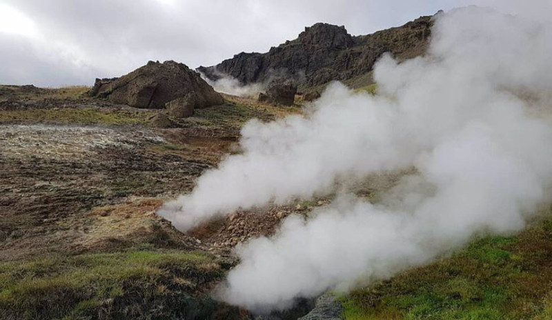 Los pastizales subárticos experimentan un calentamiento geotérmico natural en Islandia.
