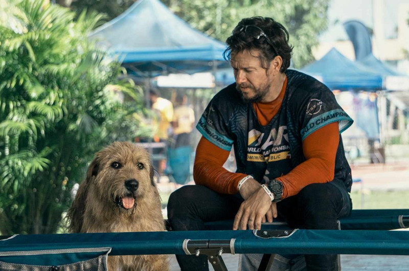 La historia de Arthur llega a la pantalla grande con “Arthur the King”, protagonizada por Mark Wahlberg y otros actores.