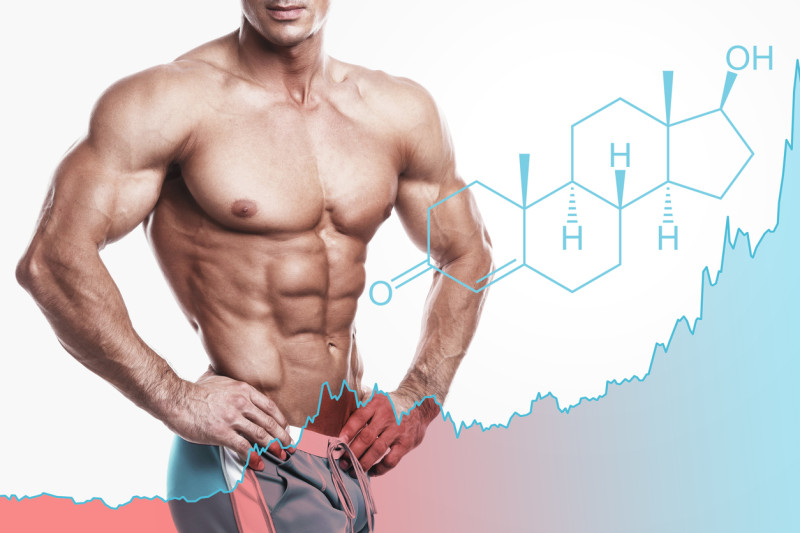 Entre mitos y verdades, la testosterona, definida como la hormona de la “virilidad”, es vital para el mantenimiento de la salud.