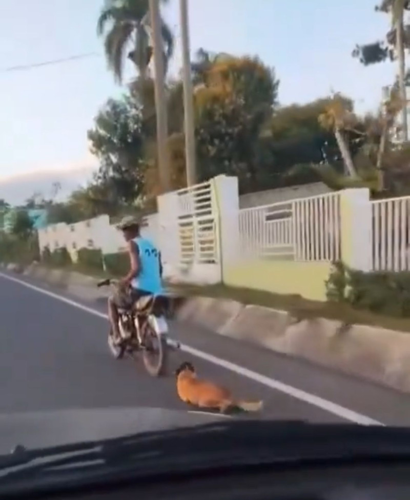 Un motorista fue captado en cámara en Hato Mayor, mientras cometía maltrato animal, arrastrando un perro, sostenido con una soga a la motocicleta que conducía.