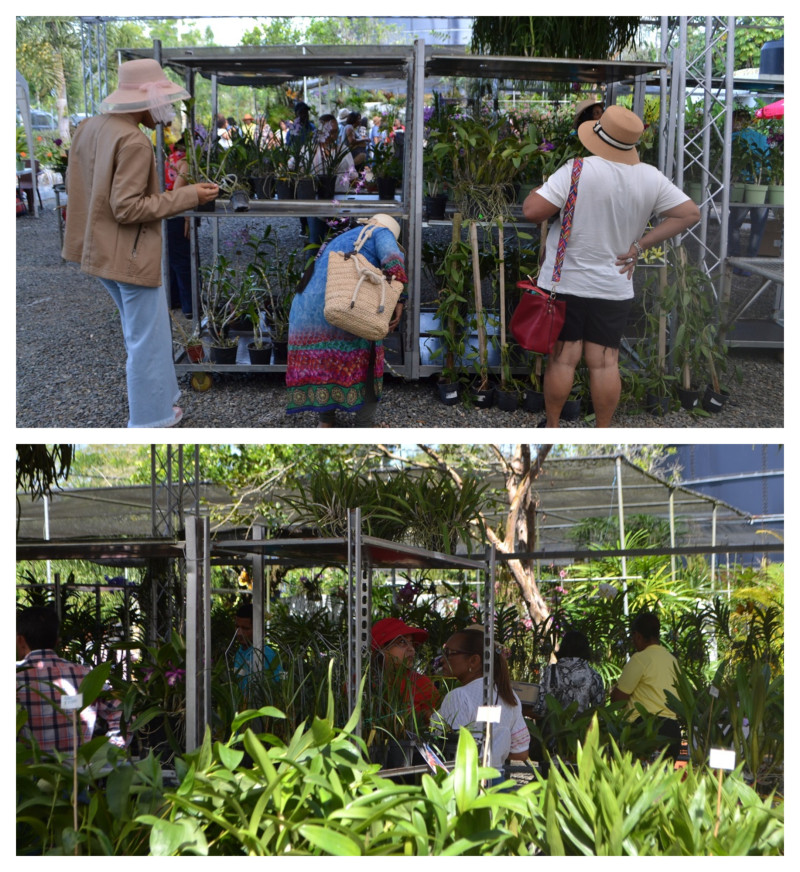 Cientos de personas visitan cada año la exposicion de Eco Jardín en Monte Adentro, Salcedo.