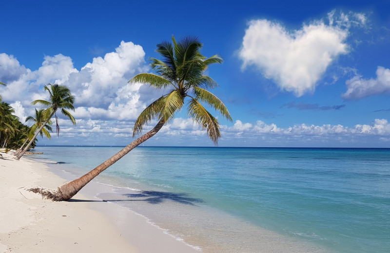 Fotografía muestra playa dominicana.